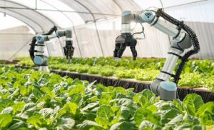 9 Advantages of An Automated Greenhouse